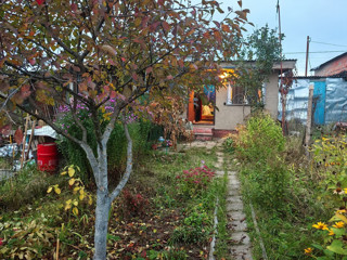 Дом, площадью 33 кв.м