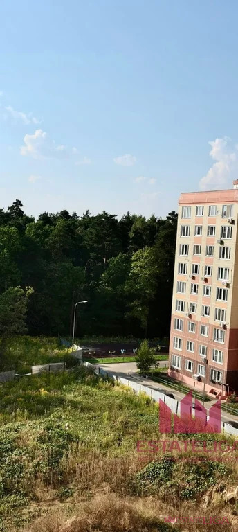 Продается 1-комнатная квартира, площадью 24.00 кв.м. Московская область, Ленинский район, поселок городского типа Лопатино, улица Сухановская, дом 14