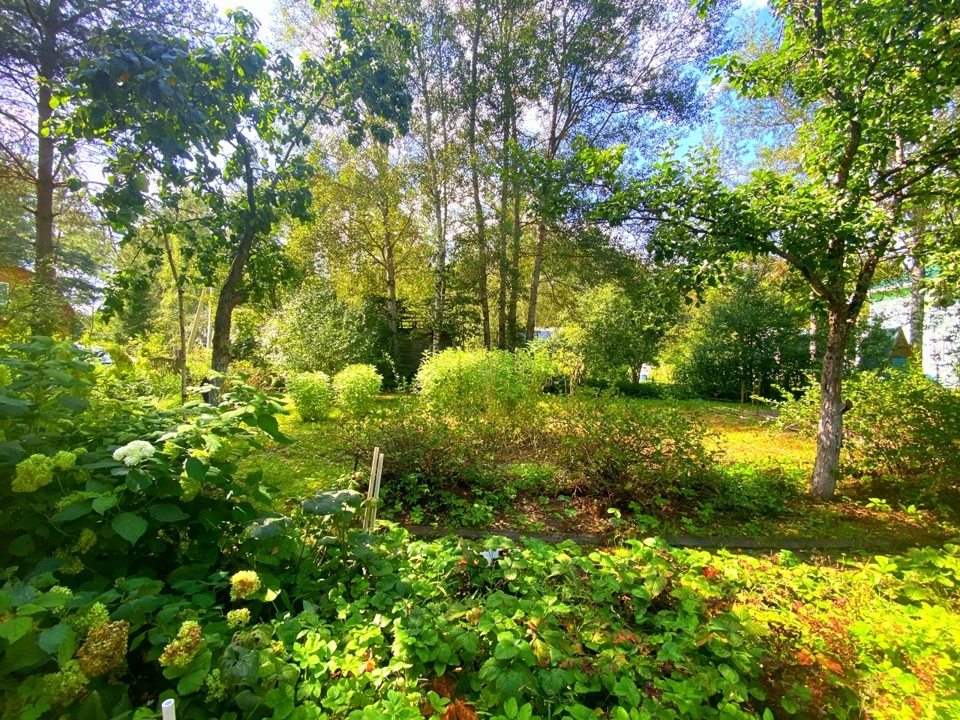 Продается дом, площадью 28.00 кв.м. Московская область, Орехово-Зуево городской округ, деревня Ботагово