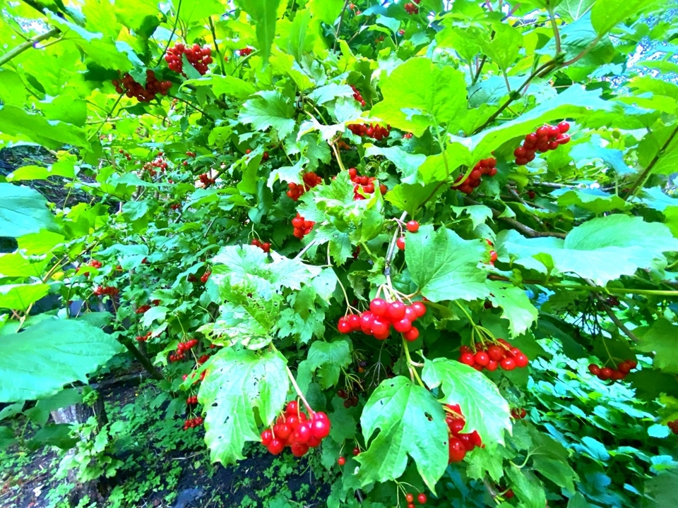 Продается дом, площадью 64.00 кв.м. Московская область, Егорьевский городской округ, город Егорьевск, улица 9 Января