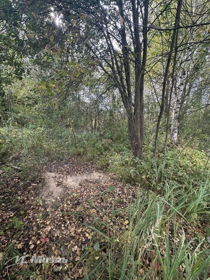 Продается дом, площадью 39.00 кв.м. Московская область, Орехово-Зуево городской округ, город Орехово-Зуево, улица Строительная, дом 1а