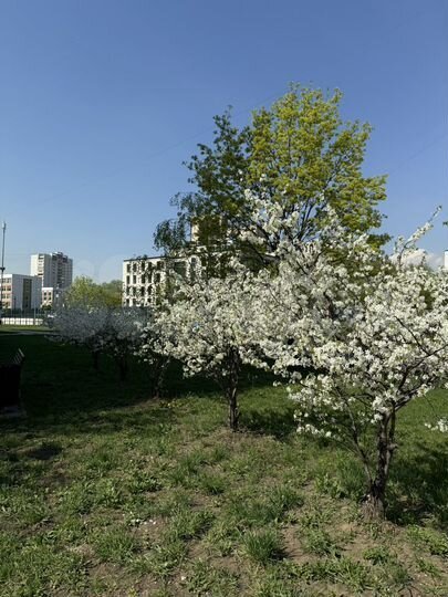 Продается 1-комнатная квартира, площадью 38.10 кв.м. Москва, улица Братиславская, дом 3