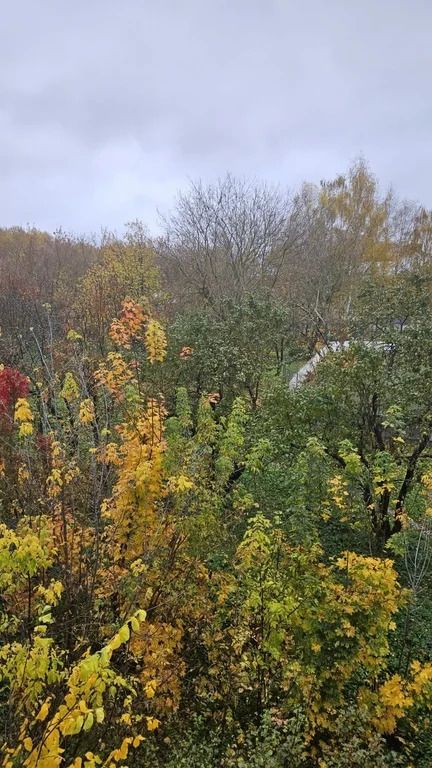 Продается 2-комнатная квартира, площадью 46.80 кв.м. Московская область, Мытищи городской округ, микрорайон Поселок Пироговский, улица Советская, дом 7