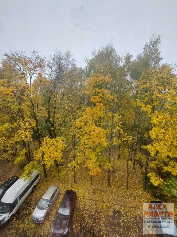 Продается 2-комнатная квартира, площадью 44.10 кв.м. Московская область, Солнечногорский район, город Солнечногорск, улица Красная, дом 66