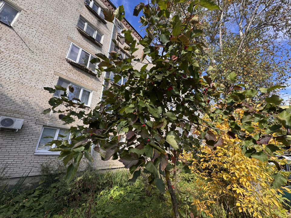 Продается 1-комнатная квартира, площадью 12.90 кв.м. Московская область, Пушкинский район, рабочий поселок Лесной, улица Достоевского, дом 26