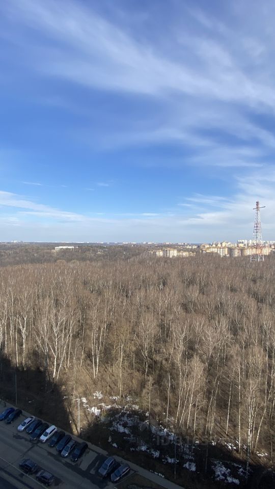 Продается 1-комнатная квартира, площадью 23.10 кв.м. Московская область, Красногорск городской округ, поселок городского типа Путилково, улица Сходненская, дом 17