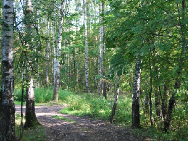 ЖК пос. Валентиновка, Газетная ул.. Московская обл., Королев, Валентиновка пос., Газетная ул., вл. 1