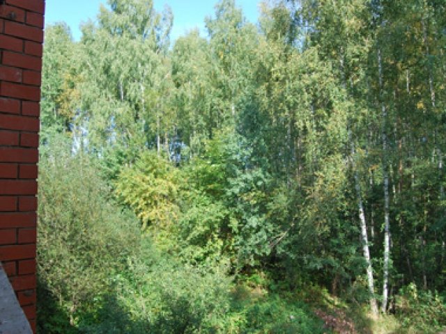 ЖК пос. Валентиновка, Газетная ул.. Московская обл., Королев, Валентиновка пос., Газетная ул., вл. 1