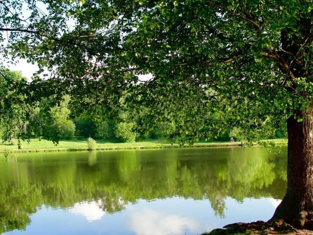 ЖК Усадьба Новая Салтыковка. Московская обл., Балашиха, Салтыковка мкр., Школьная ул.,  7, корп. 1–5